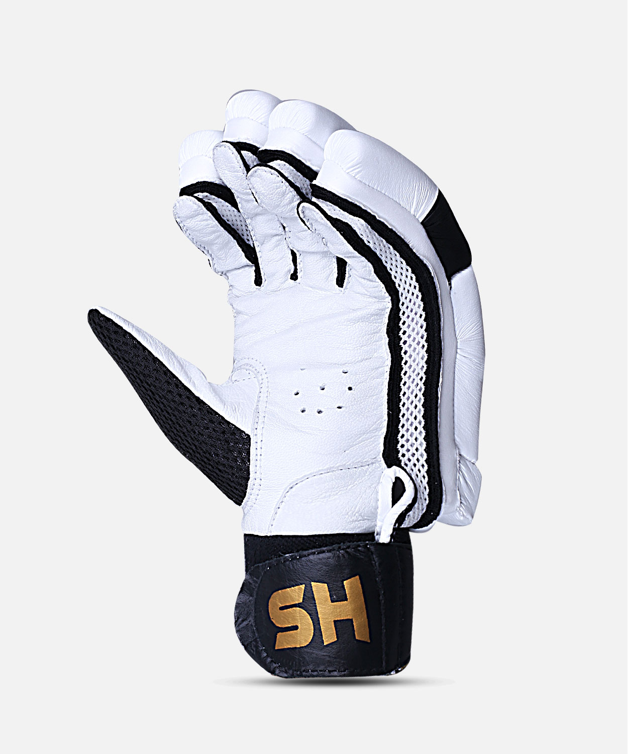 Batting Gloves HS T20