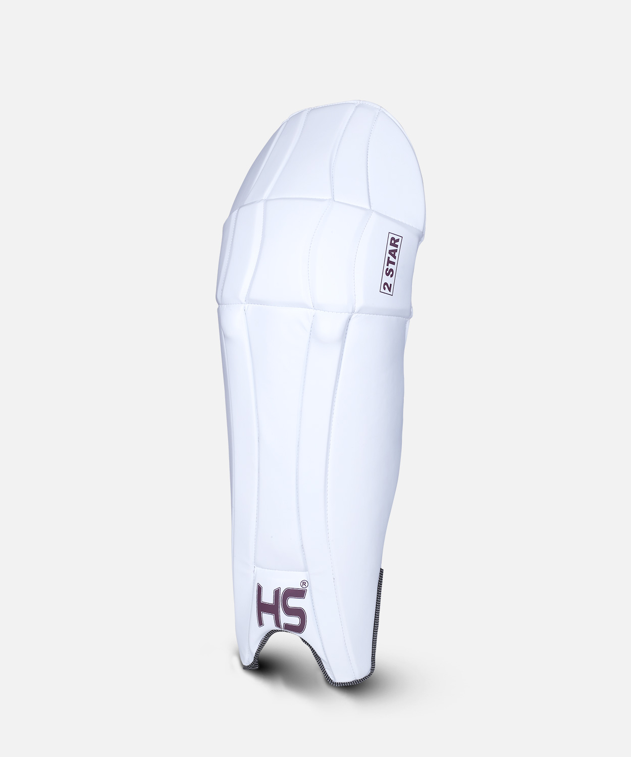 BATTING PAD HS 2 STAR