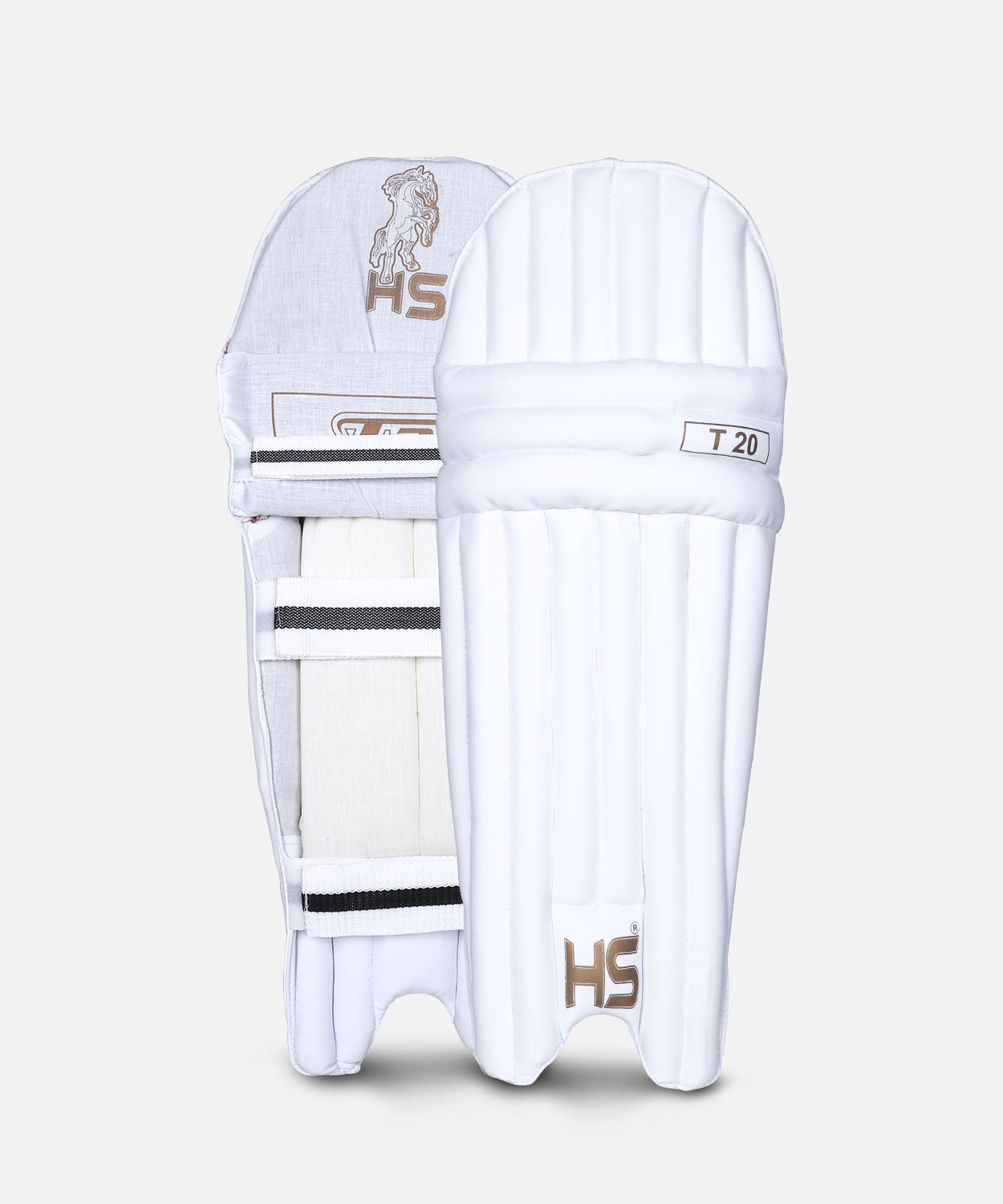 BATTING PAD HS T20