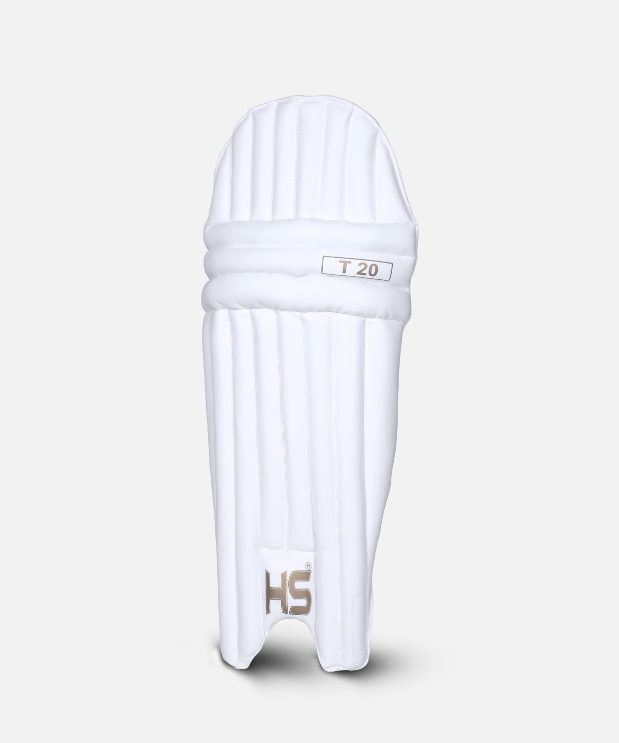 BATTING PAD HS T20