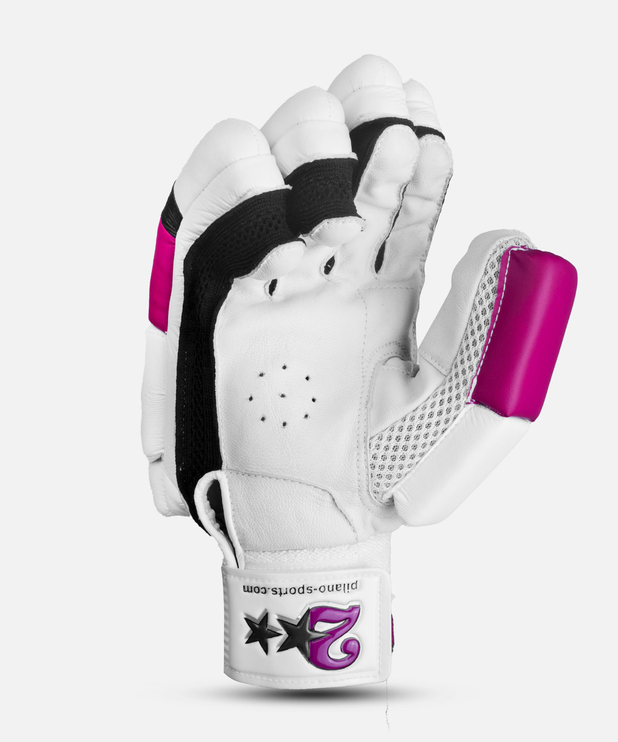 BATTING GLOVE 2 STAR