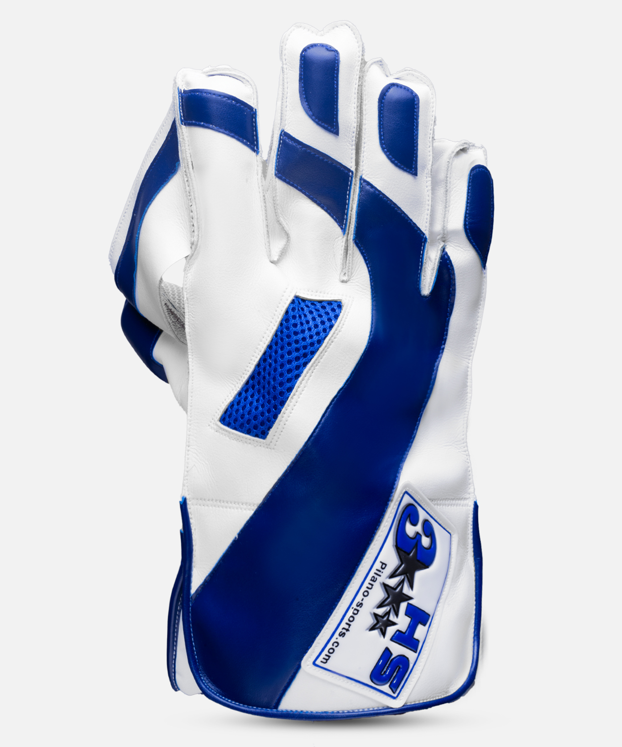 WICKET KEEPING GLOVE HS 3 STAR