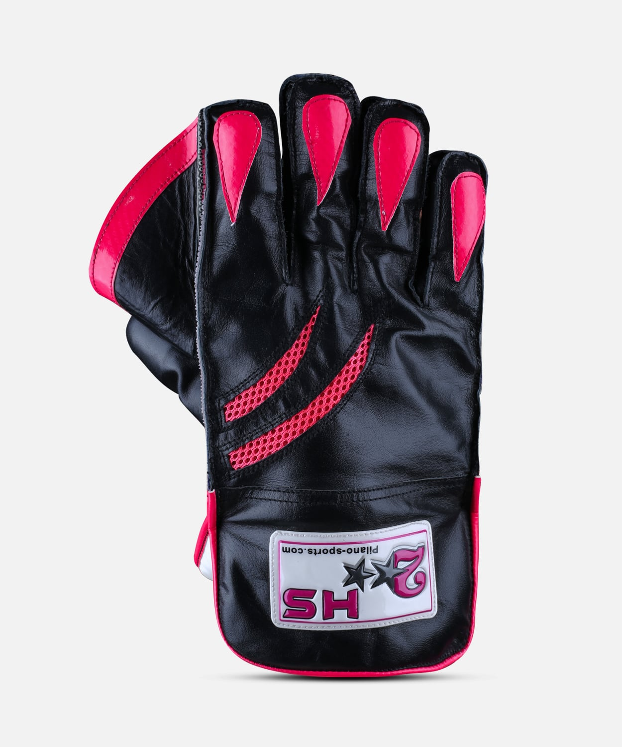 WICKET KEEPING GLOVE HS 2 STAR